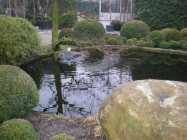 Laghetto carpe koi